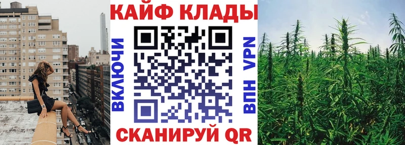 Псилоцибиновые грибы Кирово-Чепецк