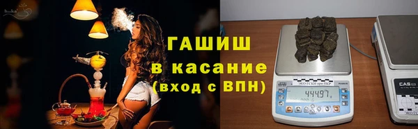 крисы Горняк
